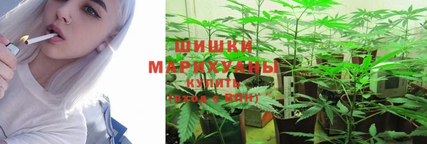 ПСИЛОЦИБИНОВЫЕ ГРИБЫ Беломорск