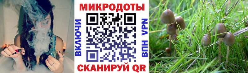 OMG маркетплейс  цены   Ворсма  Галлюциногенные грибы прущие грибы 